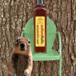 Oxford Falls Vegan Gluten-Free Worcestershire Sauce
